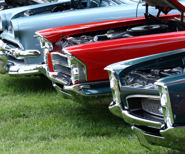 show n shine show n shine